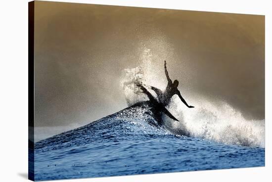 All Fins Out-Steve Munch-Stretched Canvas