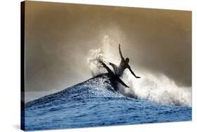 All Fins Out-Steve Munch-Stretched Canvas