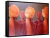 All Five Heads-Lincoln Seligman-Framed Stretched Canvas