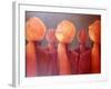 All Five Heads-Lincoln Seligman-Framed Giclee Print