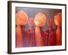 All Five Heads-Lincoln Seligman-Framed Giclee Print