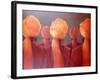 All Five Heads-Lincoln Seligman-Framed Giclee Print