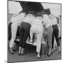 All-Girl "Dragettes" Hotrod Club Working on Car Engine, Kansas City, Kansas, 1959-Francis Miller-Mounted Premium Photographic Print