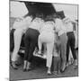 All-Girl "Dragettes" Hotrod Club Working on Car Engine, Kansas City, Kansas, 1959-Francis Miller-Mounted Photographic Print