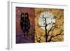 All Hallow's Eve 1I-null-Framed Giclee Print