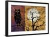 All Hallow's Eve 1I-null-Framed Giclee Print