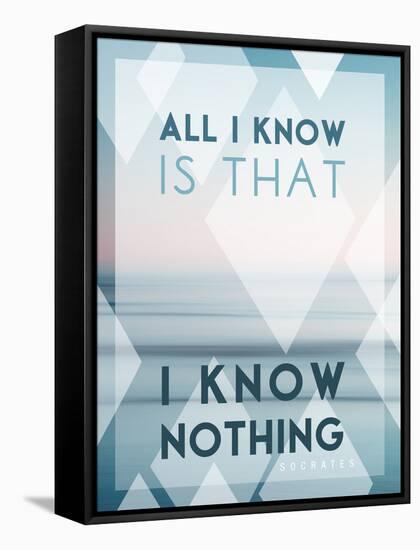 All I Know Is I Know Nothing-Lee Frost-Framed Stretched Canvas