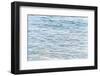 All I Need Is Vitamin Sea-Elena Chukhlebova-Framed Photographic Print