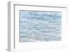 All I Need Is Vitamin Sea-Elena Chukhlebova-Framed Photographic Print