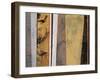 All in a Row II-Kari Taylor-Framed Giclee Print