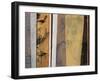 All in a Row II-Kari Taylor-Framed Giclee Print