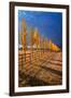 All in a Row-Bob Larson-Framed Art Print