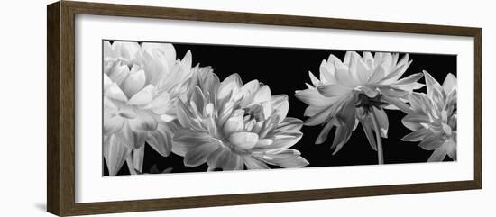 All in a Row-Caroline Kelly-Framed Photo