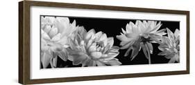 All in a Row-Caroline Kelly-Framed Photo