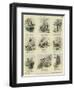 All Kinds of Mishaps-null-Framed Giclee Print