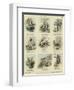 All Kinds of Mishaps-null-Framed Giclee Print