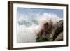 All My White-Olga Mest-Framed Photographic Print