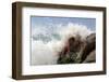 All My White-Olga Mest-Framed Premium Photographic Print