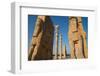 All Nations Gateway, Persepolis, UNESCO World Heritage Site, Iran, Middle East-James Strachan-Framed Photographic Print