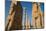 All Nations Gateway, Persepolis, UNESCO World Heritage Site, Iran, Middle East-James Strachan-Mounted Photographic Print