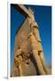 All Nations Gateway, Persepolis, UNESCO World Heritage Site, Iran, Middle East-James Strachan-Framed Premium Photographic Print