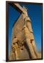 All Nations Gateway, Persepolis, UNESCO World Heritage Site, Iran, Middle East-James Strachan-Framed Premium Photographic Print