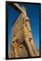 All Nations Gateway, Persepolis, UNESCO World Heritage Site, Iran, Middle East-James Strachan-Framed Premium Photographic Print