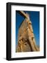 All Nations Gateway, Persepolis, UNESCO World Heritage Site, Iran, Middle East-James Strachan-Framed Photographic Print