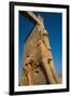 All Nations Gateway, Persepolis, UNESCO World Heritage Site, Iran, Middle East-James Strachan-Framed Photographic Print