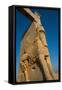 All Nations Gateway, Persepolis, UNESCO World Heritage Site, Iran, Middle East-James Strachan-Framed Stretched Canvas