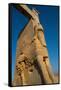 All Nations Gateway, Persepolis, UNESCO World Heritage Site, Iran, Middle East-James Strachan-Framed Stretched Canvas