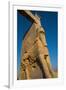 All Nations Gateway, Persepolis, UNESCO World Heritage Site, Iran, Middle East-James Strachan-Framed Premium Photographic Print