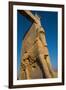 All Nations Gateway, Persepolis, UNESCO World Heritage Site, Iran, Middle East-James Strachan-Framed Premium Photographic Print