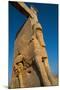 All Nations Gateway, Persepolis, UNESCO World Heritage Site, Iran, Middle East-James Strachan-Mounted Premium Photographic Print