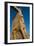 All Nations Gateway, Persepolis, UNESCO World Heritage Site, Iran, Middle East-James Strachan-Framed Photographic Print