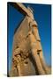 All Nations Gateway, Persepolis, UNESCO World Heritage Site, Iran, Middle East-James Strachan-Stretched Canvas
