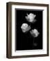 All Of Beauty, 2007-Hiroyuki Arakawa-Framed Photographic Print