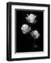 All Of Beauty, 2007-Hiroyuki Arakawa-Framed Photographic Print