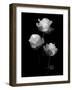 All Of Beauty, 2007-Hiroyuki Arakawa-Framed Photographic Print