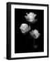 All Of Beauty, 2007-Hiroyuki Arakawa-Framed Photographic Print