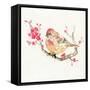 All Puffed Up-Nan Rae-Framed Stretched Canvas