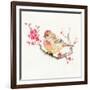 All Puffed Up-Nan Rae-Framed Art Print