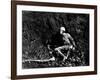 "All quiet on the western front" by Lewis Milestone with Lew Ayres, 1930 (b/w photo)-null-Framed Photo