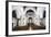 All Saints Anglican Church Interior-Matthew Williams-Ellis-Framed Photographic Print