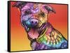 All Smiles-Dean Russo-Framed Stretched Canvas