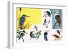 All Sorts of Kingfishers-null-Framed Giclee Print