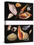 All Sorts of Sea Shell, Illustration from Once Upon a Time, 1970-null-Stretched Canvas