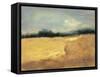 All that Glitters is Gold I-Bradford Brenner-Framed Stretched Canvas