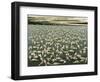 All the People , 1982-Evelyn Williams-Framed Giclee Print