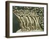 All the People - Pointing at the Black Cloud, 1982-Evelyn Williams-Framed Giclee Print